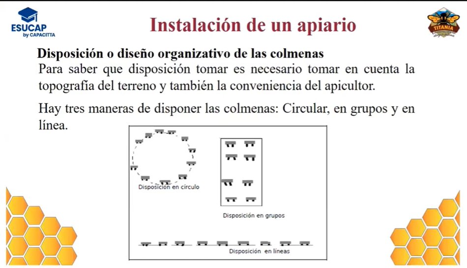 Instalación de Apiarios